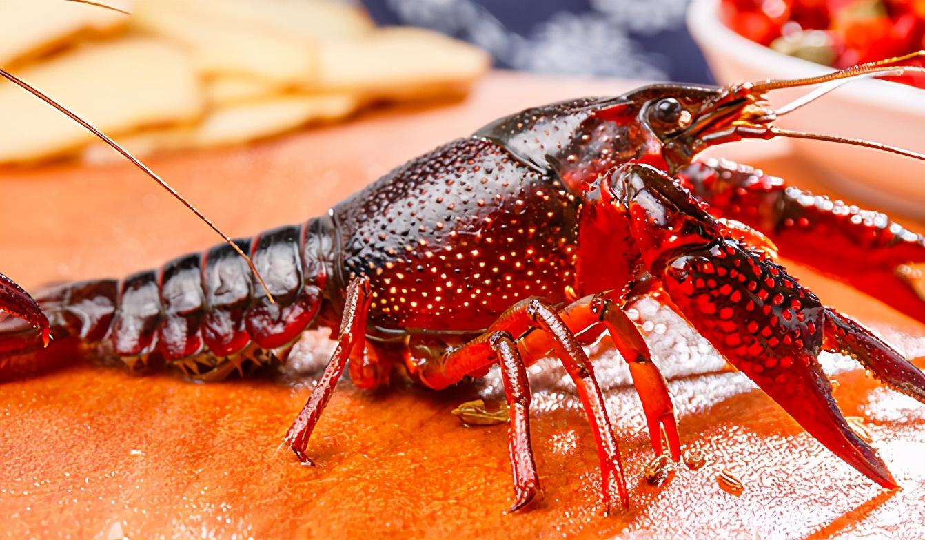 龙虾青壳好还是红壳好吃，青壳虾和红壳虾的区别