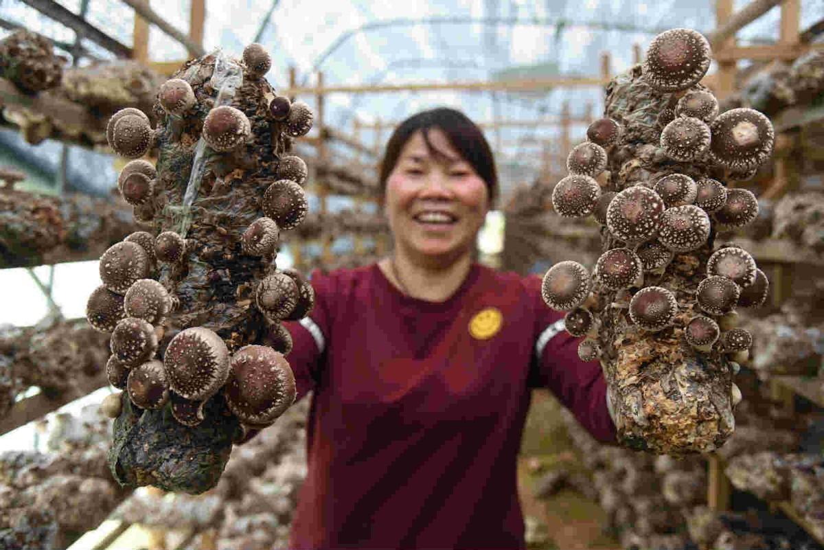 菌类食物需要焯水吗，哪些菌菇类需要焯水