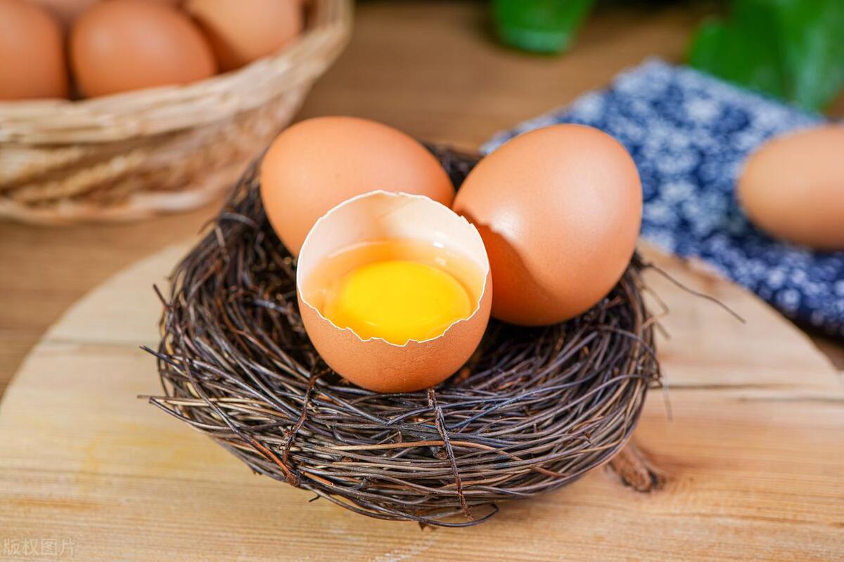 什么是激素鸡蛋，如何鉴别激素鸡蛋的真假