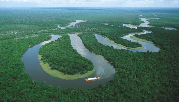 亚马逊雨林为什么重要，亚马逊雨林重要性