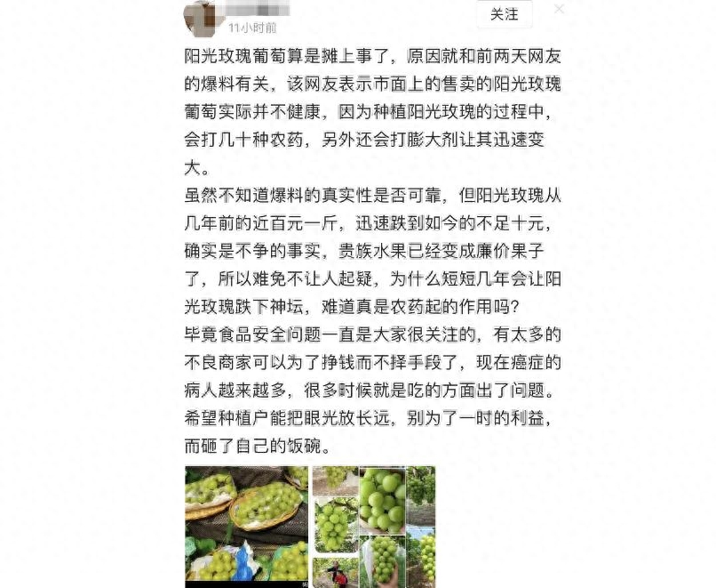 阳光玫瑰葡萄怎么了，阳光玫瑰葡萄事件