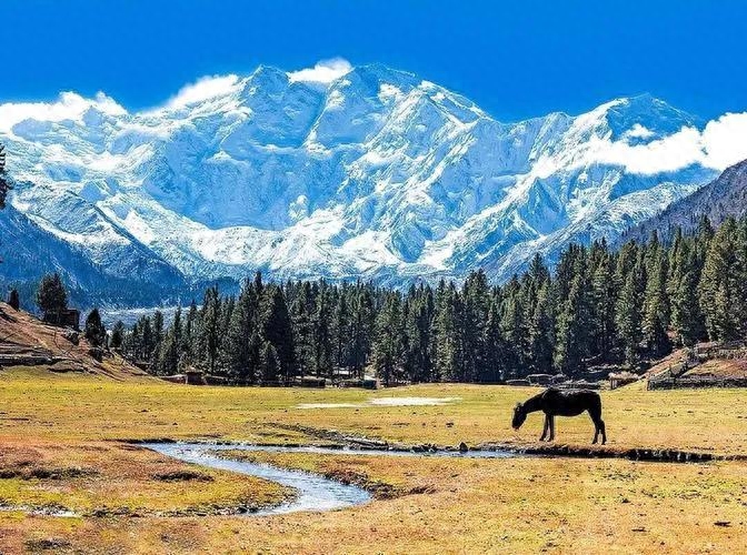 世界上海拔最高的山是哪座山，世界上海拔最高的十大山脉