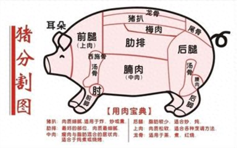 猪腿肉买前腿还是后腿好，前腿肉与后腿肉哪个好吃