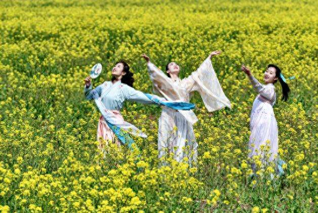 为什么用黄花形容闺女，黄花大闺女的由来