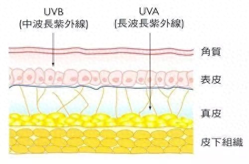 晒后怎样修复皮肤，晒后补救的最快的办法