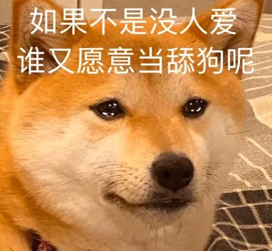 什么是舔狗，狗舔人的行为