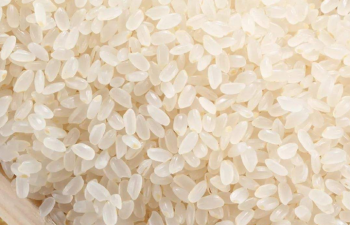 胚芽米营养高吗，胚芽米比大米有营养吗