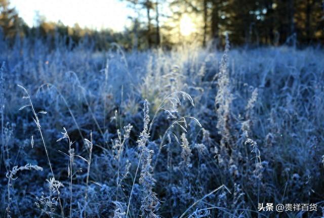 2023年湖南11月是冷是热，11月份去湖南旅游怎样