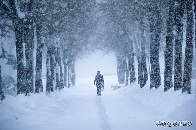 今年冬天雪多还是雪少，为什么今年大雪比往年要多