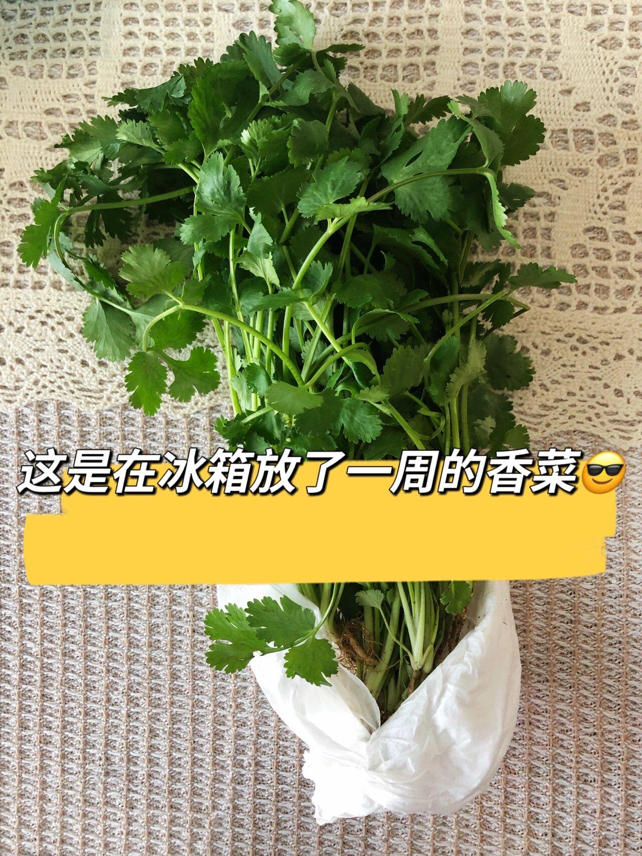 怎样保存香菜，保存香菜的妙招