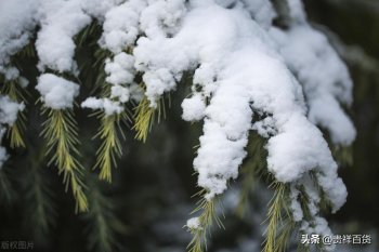 冬至有什么讲究，过了冬至就算下年属相了吗