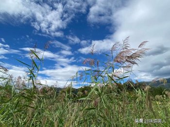 锦上添花是什么意思，锦上添花的含义