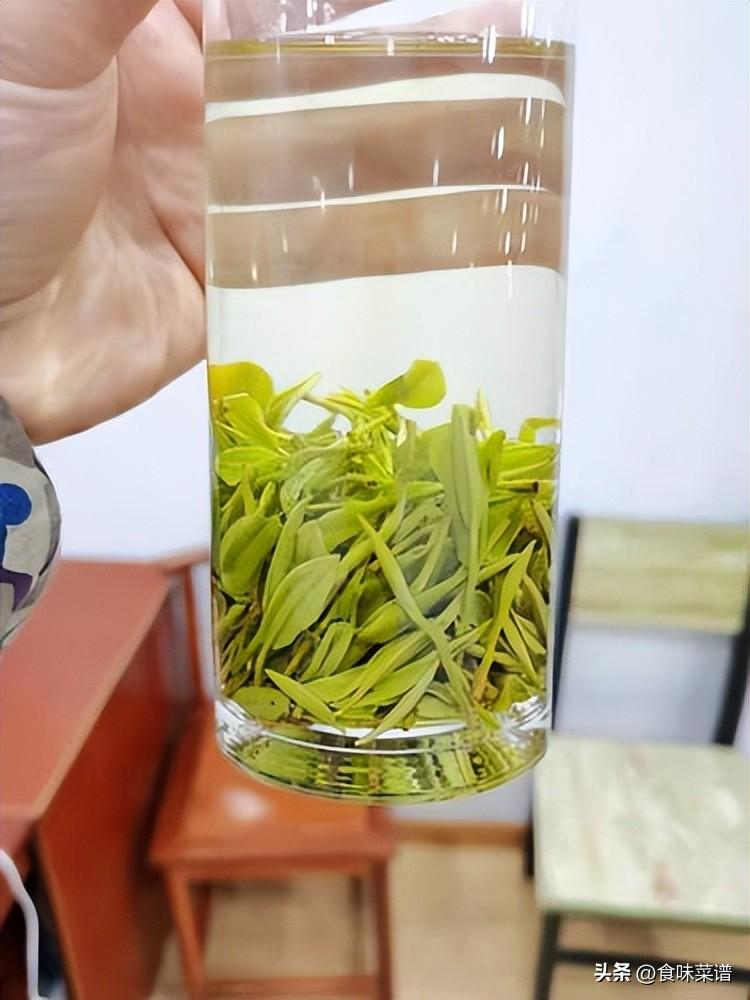 绿茶有哪些，中国十大绿茶排行榜