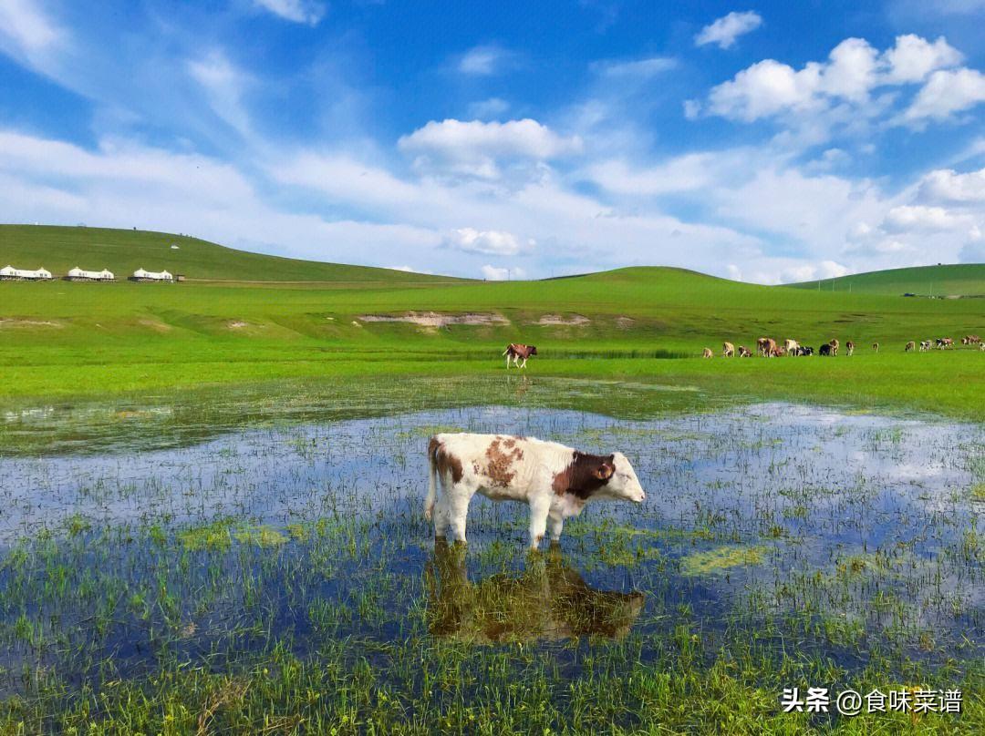 哪些景点值得去，中国最值得去的20个景点