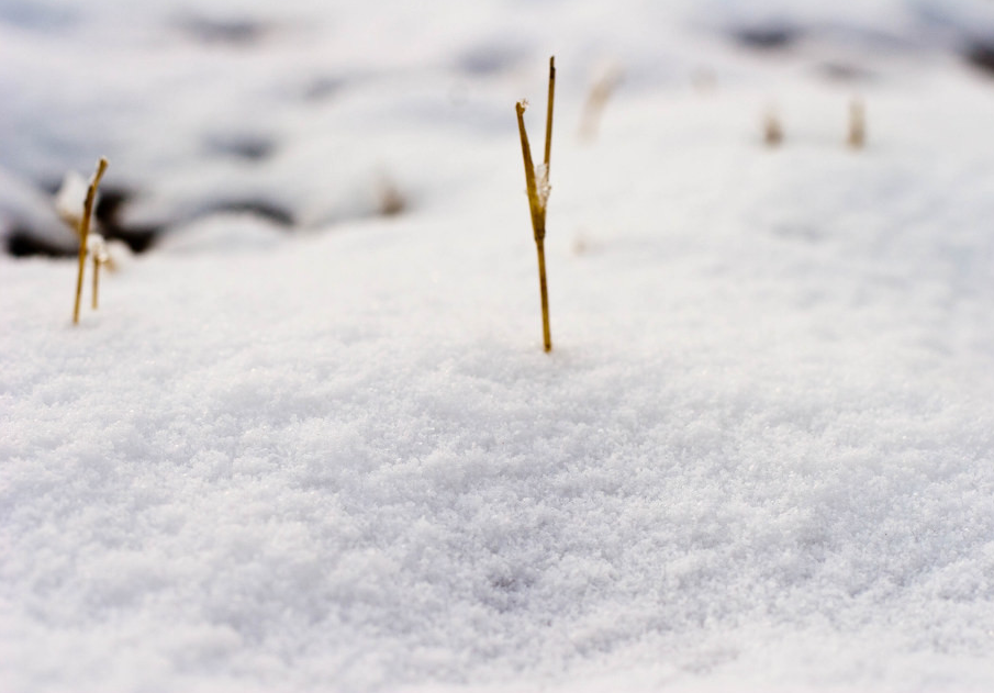 梦见冰天雪地什么征兆，梦见冰天雪地是什么意思