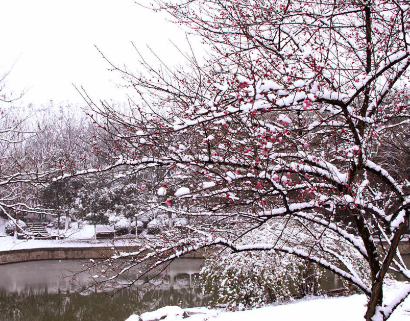 梦见冰天雪地什么征兆，梦见冰天雪地是什么意思