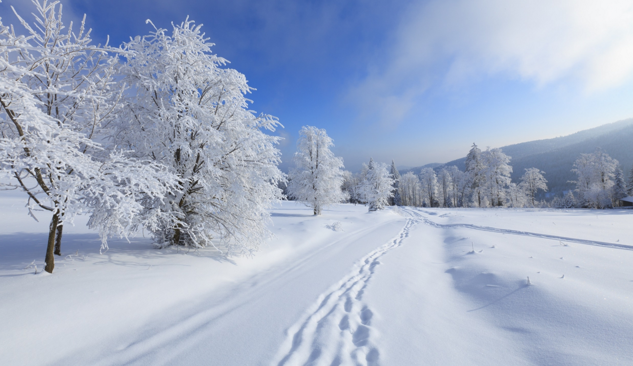 梦见冰天雪地什么征兆，梦见冰天雪地是什么意思