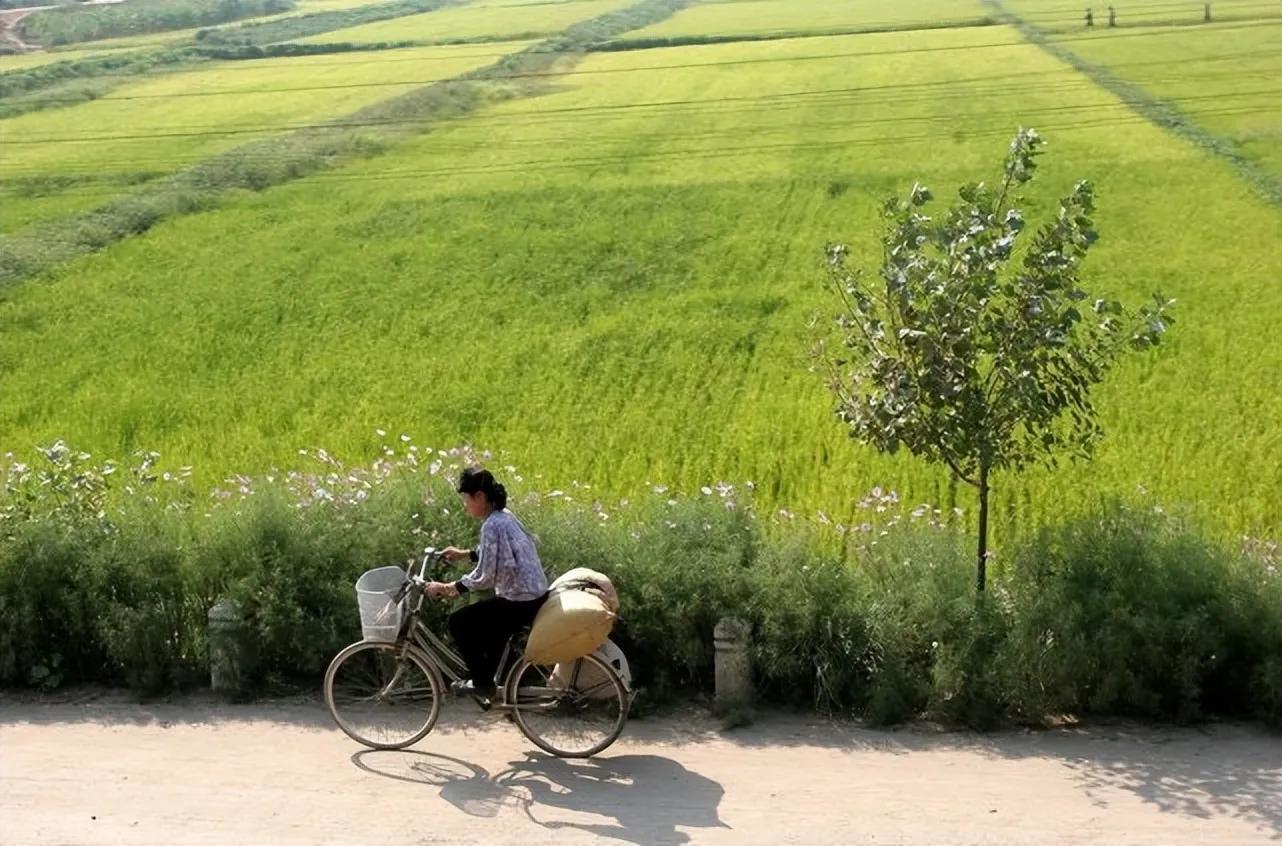 朝鲜农村到底是什么样的，朝鲜农村人的生活现状