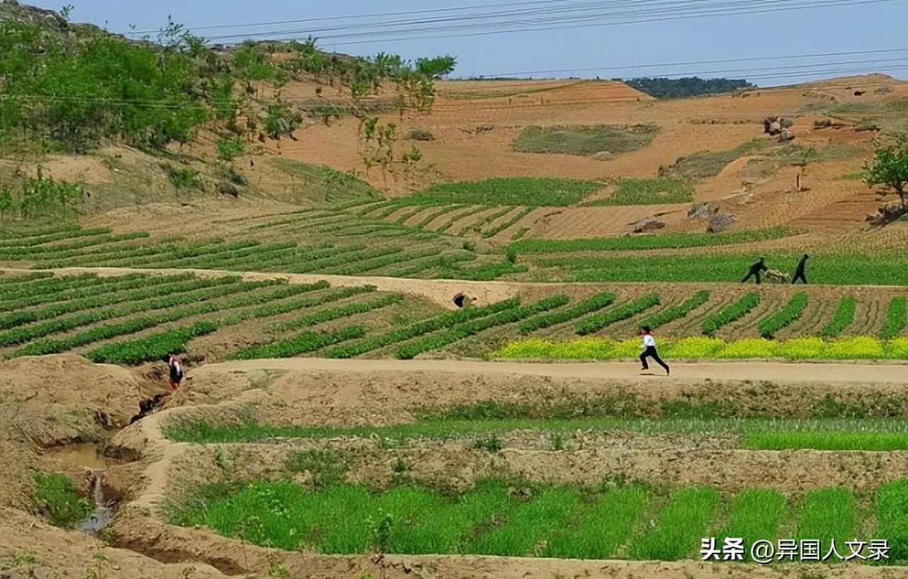 朝鲜是个怎样的国家，朝鲜人休闲的时候都干些什么