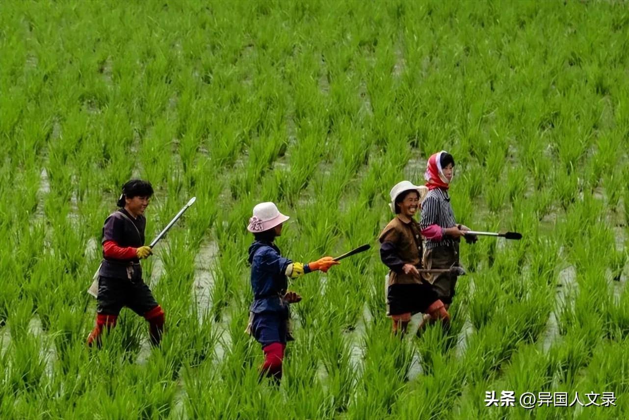 朝鲜是个怎样的国家，朝鲜人休闲的时候都干些什么