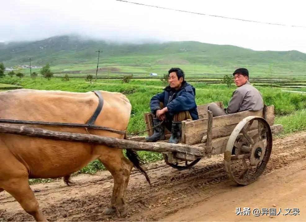 朝鲜是个怎样的国家，朝鲜人休闲的时候都干些什么