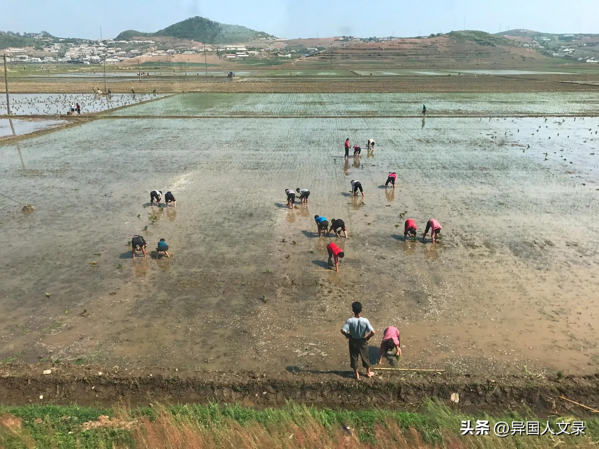 朝鲜是个怎样的国家，朝鲜人休闲的时候都干些什么