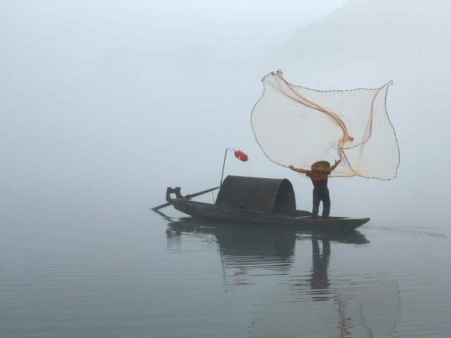 屈原是哪国的，屈原为什么投河而死