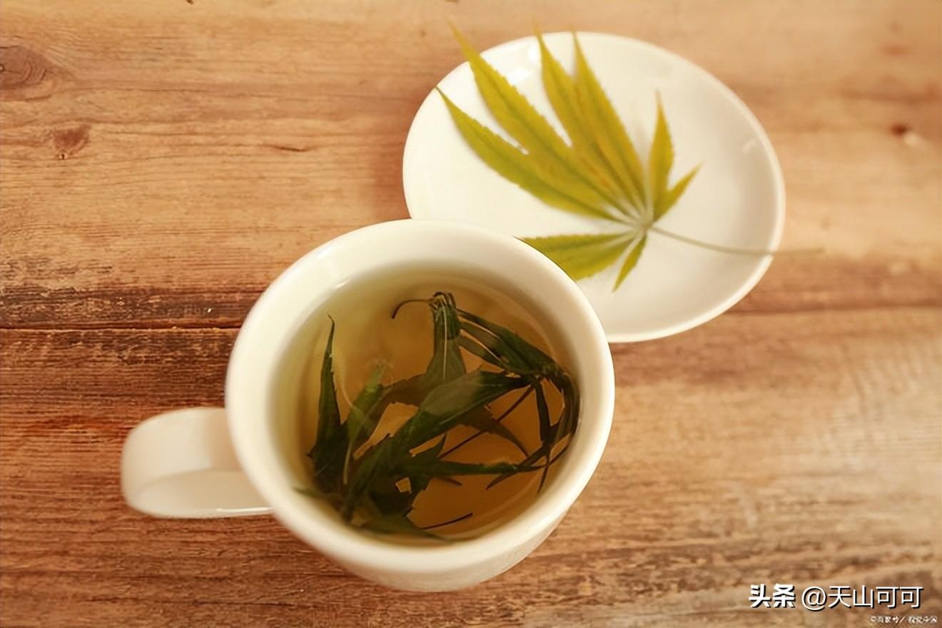 白露茶属于什么茶，白茶白露茶的功效