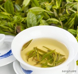 白露茶属于什么茶，白茶白露茶的功效