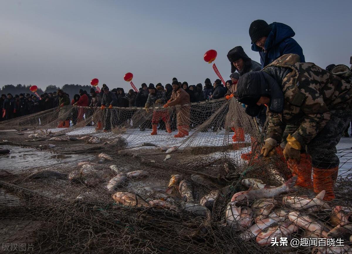 梦见自己抓鱼是什么意思，梦见抓鱼的吉凶