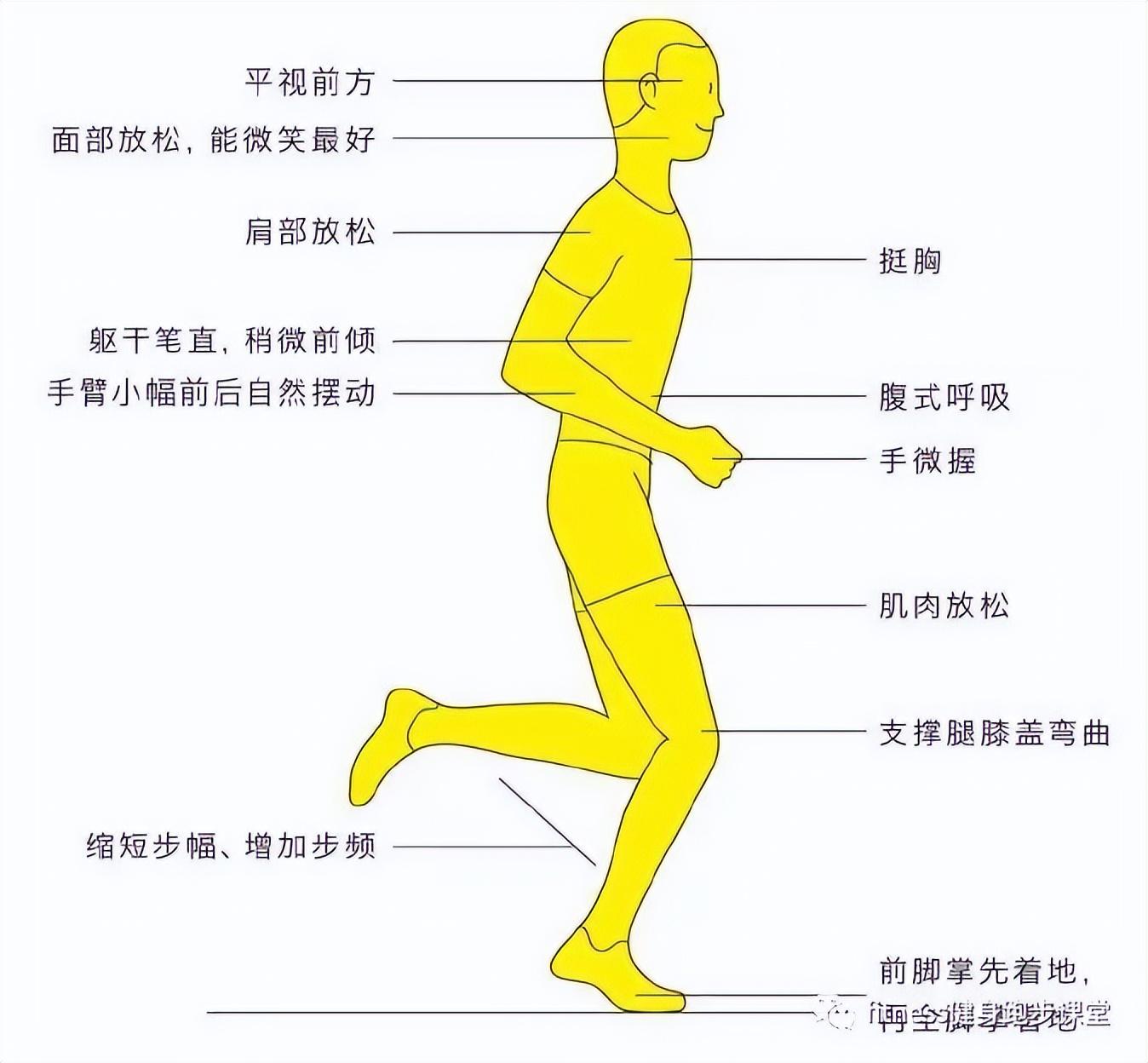 跑步的姿势哪种正确？跑步的姿势和方法