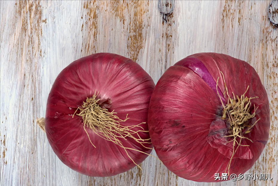 洋葱怎么种植？洋葱的种植时间和方法