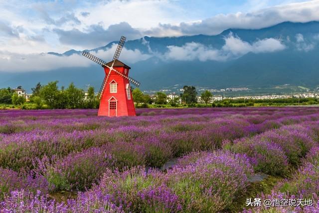 丽江大理哪里好玩？丽江大理旅游景点