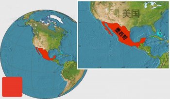 墨西哥是一个什么样的国家？分布布局如何