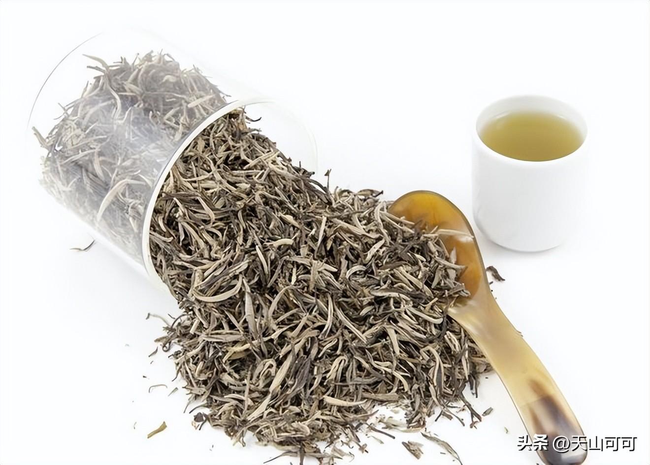 白茶和绿茶有什么区别？白茶和绿茶的区别
