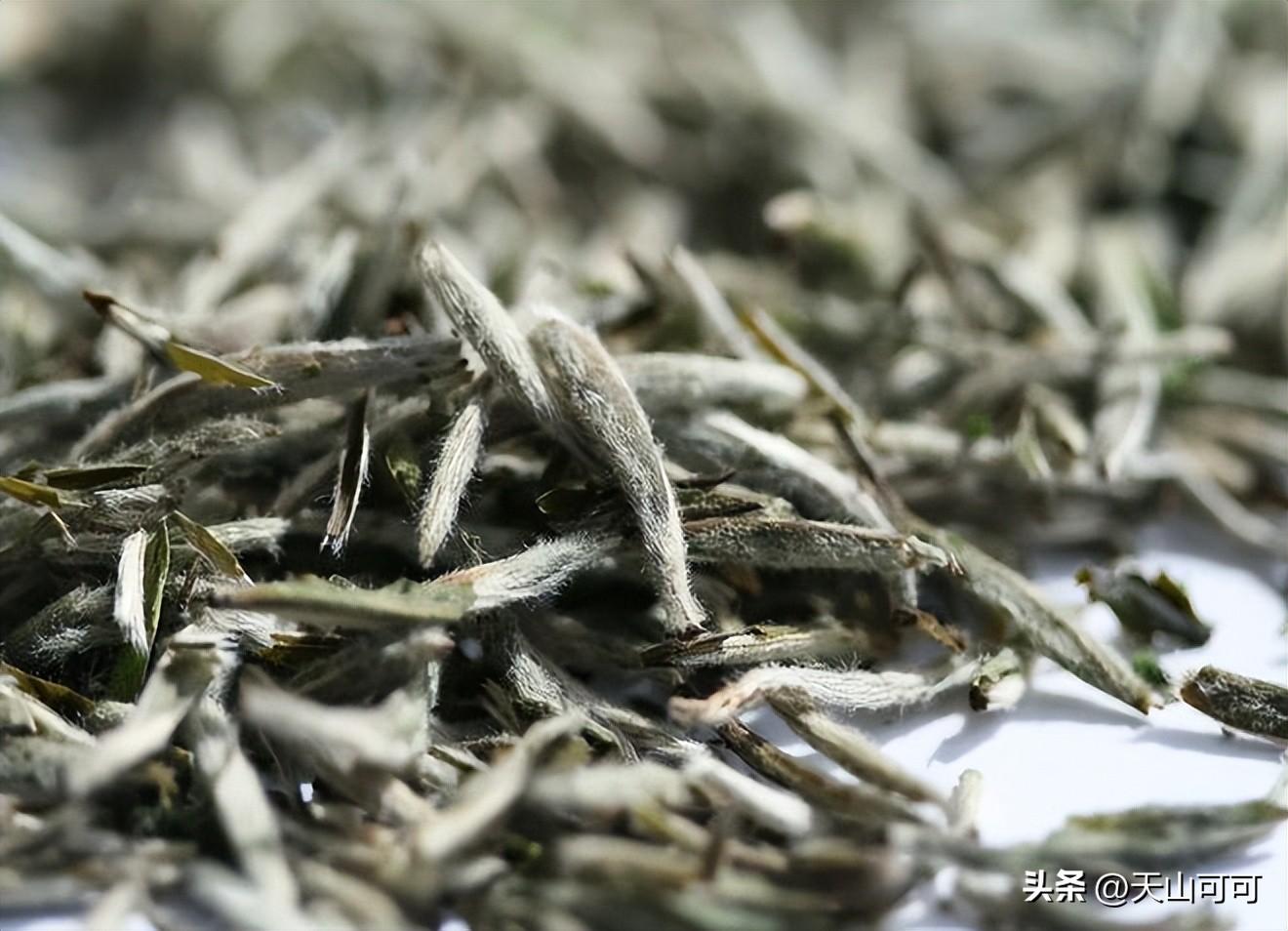 白茶和绿茶有什么区别？白茶和绿茶的区别