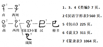 巳字是什么意象？巳字的秘密