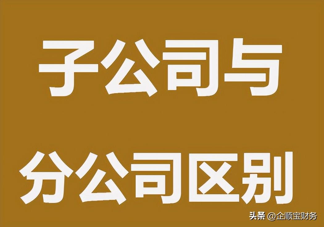 子公司和分公司有什么不同？两者有什么区别