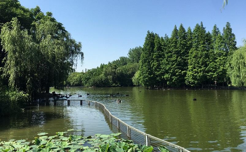 扬州有哪些旅游景点？扬州旅游景点推荐