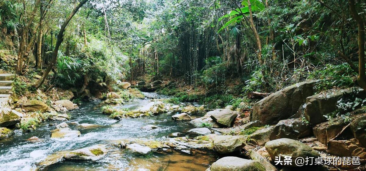 宁德有哪些旅游景点？宁德旅游必去十大景点