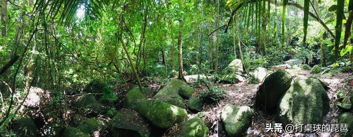 宁德有哪些旅游景点？宁德旅游必去十大景点