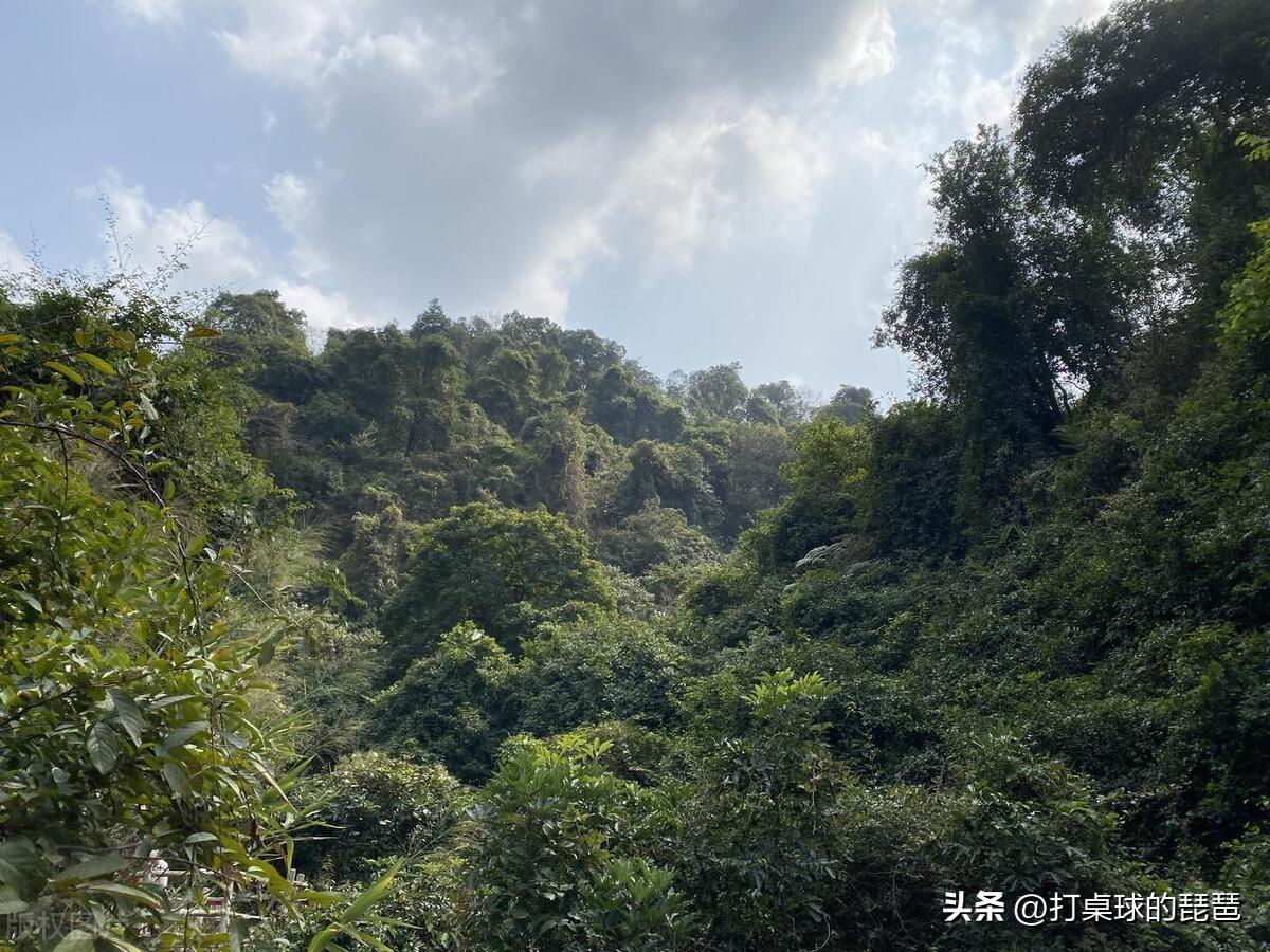 宁德有哪些旅游景点？宁德旅游必去十大景点