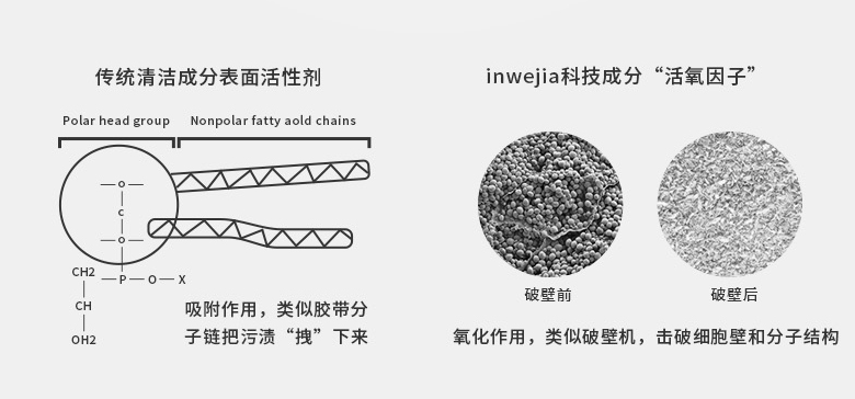 如何快速去除茶垢？快速去除茶垢的方法