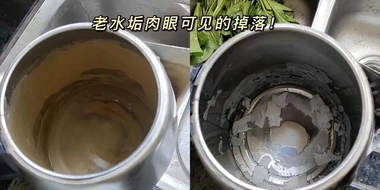 如何快速去除茶垢？快速去除茶垢的方法