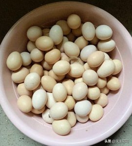 乌鸡蛋和土鸡蛋哪个更有营养？二者有什么区别？