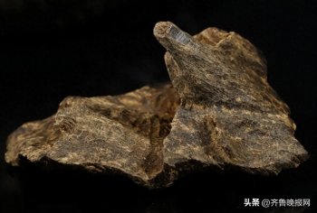 沉香多少一克？沉香贵不贵？