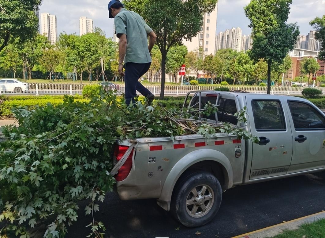 垃圾清运多少钱一车？垃圾清运车费用