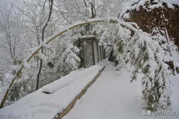 洛阳2月份天气怎么样？洛阳二月初天气适合游玩吗？